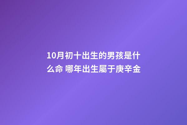 10月初十出生的男孩是什么命 哪年出生屬于庚辛金-第1張-觀點-玄機派